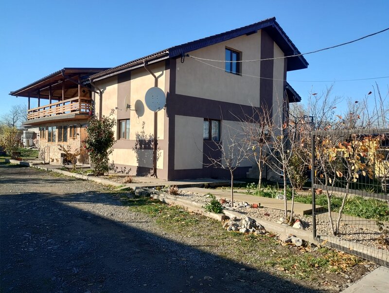 Ciocarlia de sus, Constanta.